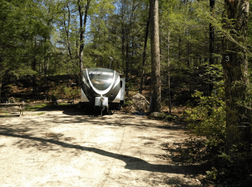 A parked RV in a wooded campsite, surrounded by trees and a gravel path. A picnic table is visible nearby.