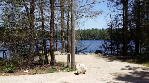 A serene lakeside view framed by trees, with a sandy path leading to the water's edge under a clear blue sky.