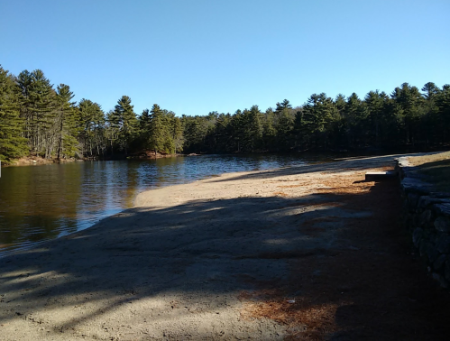 A serene lakeside scene with sandy shore, surrounded by trees under a clear blue sky.