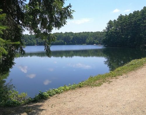A serene lake surrounded by trees, reflecting the sky, with a gravel path along the shore.