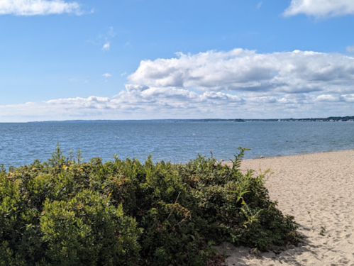A sandy beach with green shrubs in the foreground and a calm blue sea under a partly cloudy sky.