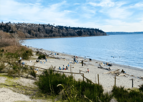 A sandy beach with people enjoying the sun, surrounded by trees and water under a clear blue sky.