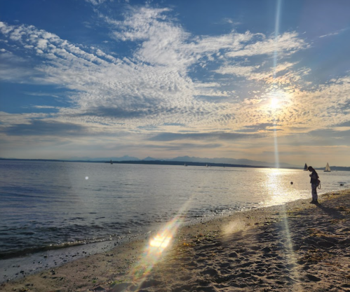 A serene beach scene at sunset, with a person walking along the shore and soft clouds in the sky.