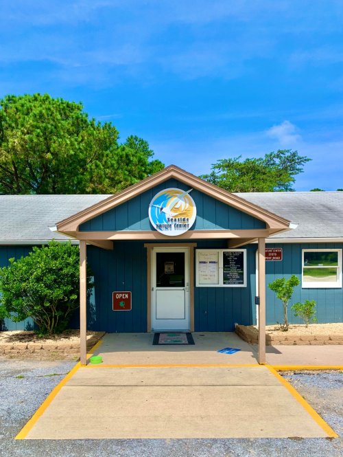A blue building with a welcoming entrance, featuring a sign that says "Open" and surrounded by greenery.
