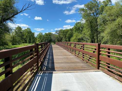 A wooden bridge stretches over a green landscape under a blue sky with fluffy clouds.