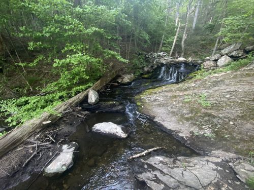 A serene forest scene featuring a small waterfall flowing over rocks, surrounded by lush green foliage.