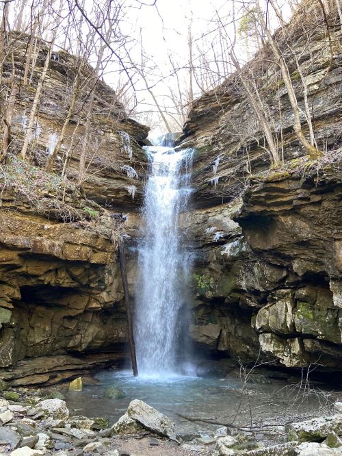 A serene waterfall cascades down rocky cliffs, surrounded by bare trees and a tranquil pool at the base.