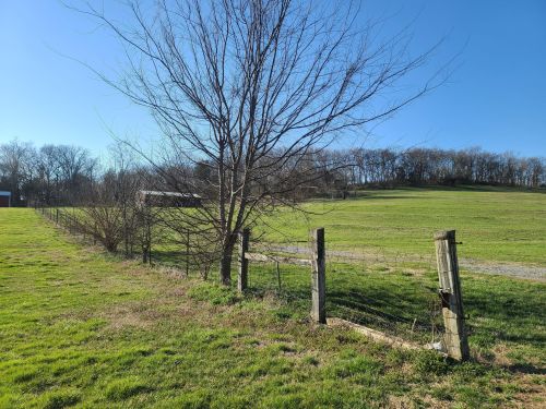 A bare tree beside a wooden fence in a grassy field under a clear blue sky. Hills are visible in the background.