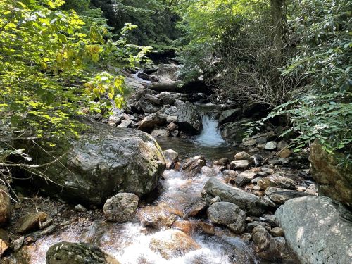 A serene stream flows over rocks, surrounded by lush greenery and trees in a peaceful natural setting.