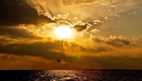 A dramatic sunset over the ocean, with rays of light breaking through clouds and a silhouette of a bird in flight.