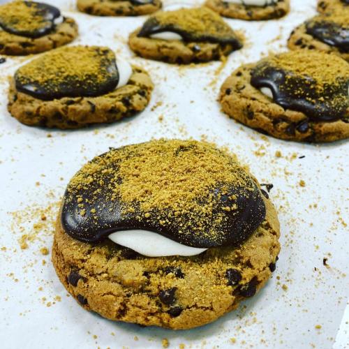 Close-up of chocolate-dipped cookies topped with marshmallow and graham cracker crumbs on a baking sheet.