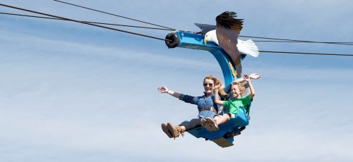 A woman and a child joyfully ride a blue zip line, with an eagle sculpture above them against a clear sky.