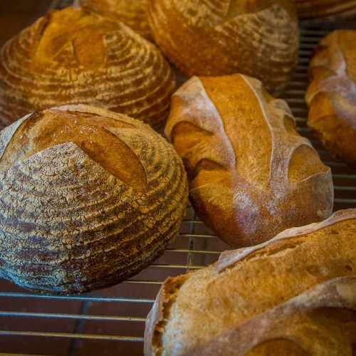 Freshly baked artisan bread loaves cooling on a wire rack, showcasing various shapes and textures.