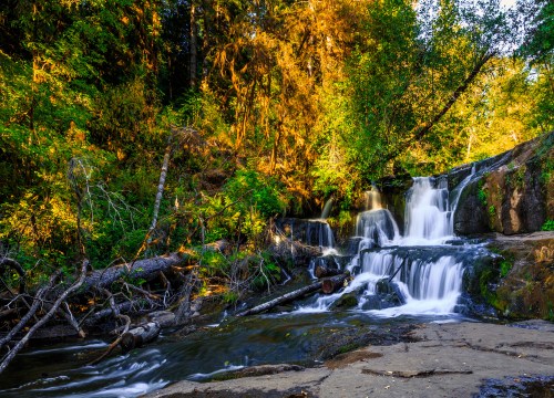 alt