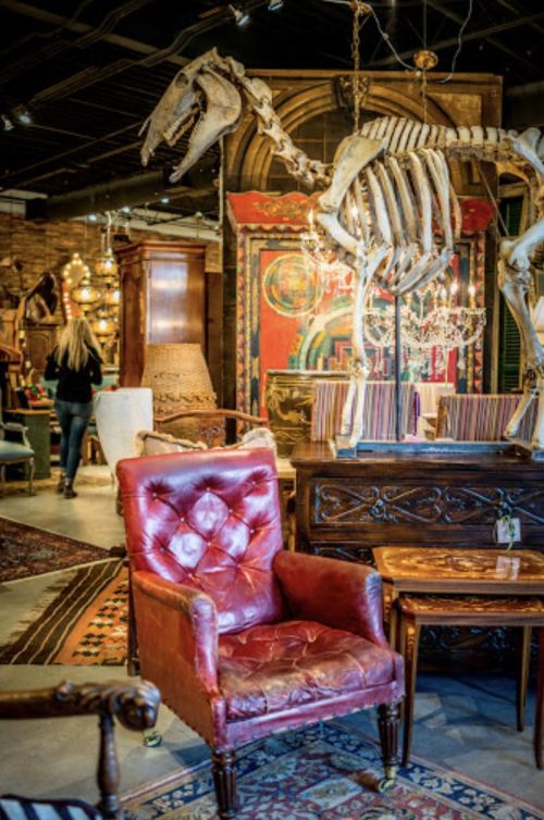 A vintage shop interior featuring a red leather chair, wooden furniture, and a horse skeleton display in the background.