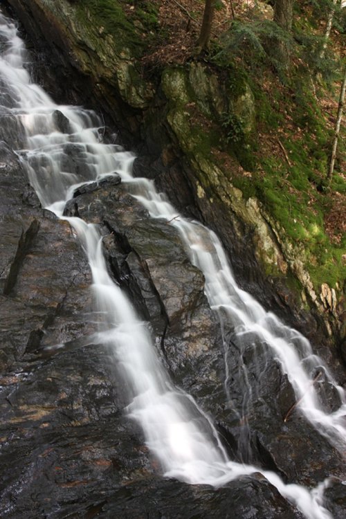 A serene waterfall cascading over dark rocks, surrounded by lush greenery and forest.