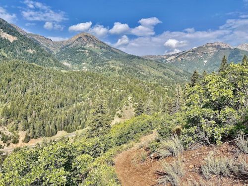 A scenic view of lush green mountains under a blue sky with scattered clouds.
