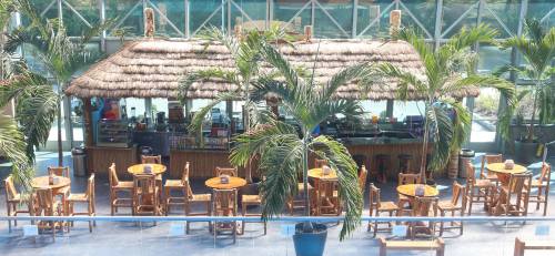 Tropical-themed bar with thatched roof, surrounded by palm trees and wooden tables in a bright, airy space.
