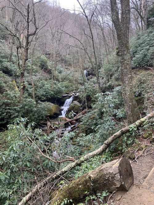 A serene forest scene featuring a waterfall surrounded by lush greenery and trees, with a rocky stream below.