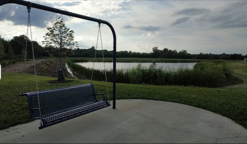 A blue swing set near a pond, surrounded by grass and trees under a cloudy sky.