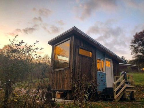 A small wooden cabin with large windows, surrounded by greenery and a colorful sunset sky.