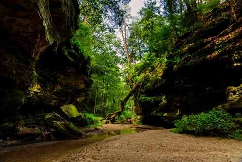 A serene forest scene with towering rock formations, lush greenery, and a small stream running through a sandy area.