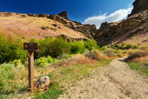 A dirt path leads through vibrant green shrubs and rocky hills under a blue sky with scattered clouds.