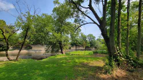 A serene landscape featuring a river, lush greenery, and trees under a clear blue sky.