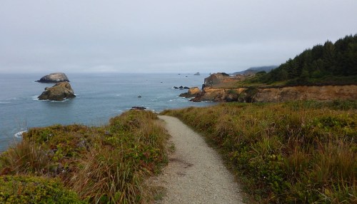 A coastal path winds through grass, leading to rocky outcrops and a calm ocean under a cloudy sky.