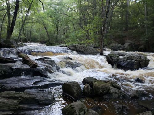 A serene river flows over rocky terrain, surrounded by lush green trees in a peaceful forest setting.