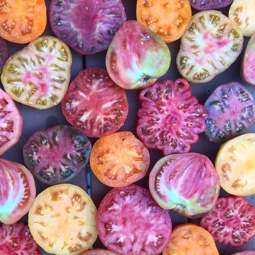 A colorful assortment of sliced heirloom tomatoes in various shapes and hues, arranged on a wooden surface.