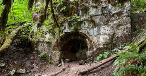 An old, moss-covered stone structure partially hidden in a lush green forest.