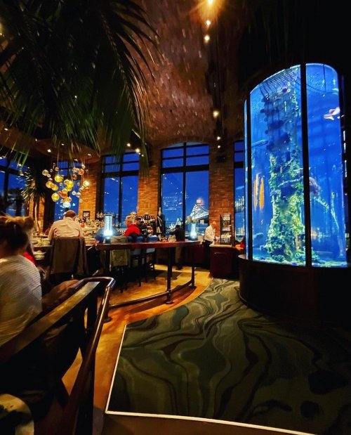 A cozy restaurant interior with large windows, dim lighting, and a tall aquarium filled with aquatic plants and fish.