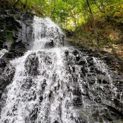 A cascading waterfall flows over dark rocks, surrounded by lush green trees and foliage.