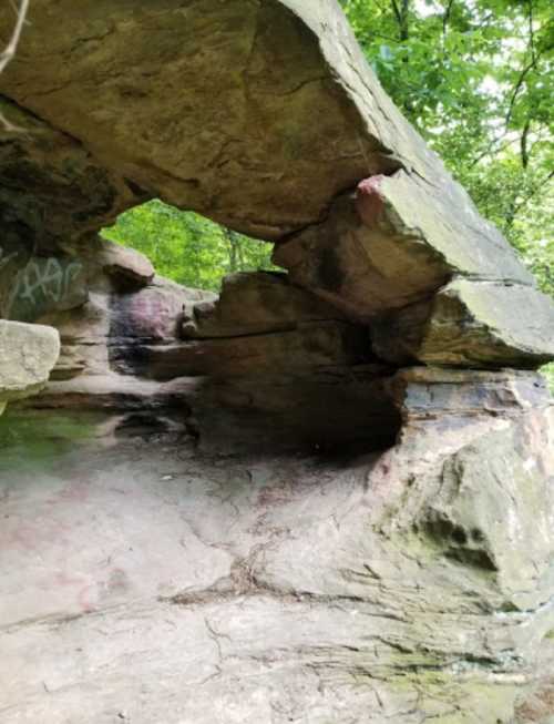 A natural rock formation with an archway, surrounded by greenery and faint graffiti on the stone surface.