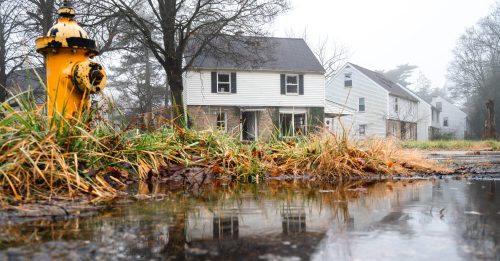 A foggy scene featuring a yellow fire hydrant, abandoned houses, and puddles reflecting the overcast sky.
