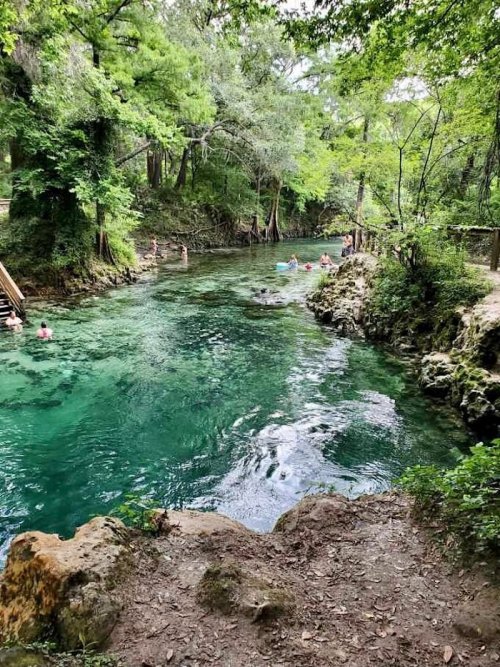 A serene river surrounded by lush greenery, with people swimming and enjoying the clear, turquoise water.