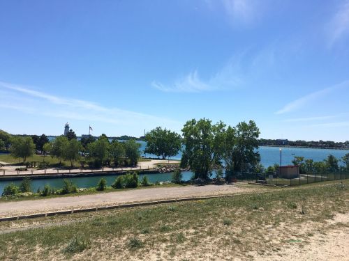 A sunny lakeside view with trees, a sandy area, and calm water under a clear blue sky.
