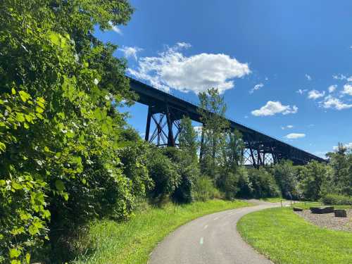 A scenic view of a path winding through greenery, with a tall bridge overhead under a blue sky with fluffy clouds.