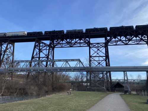 A train crosses a tall metal bridge above a grassy area and a river, with a pipeline running underneath.