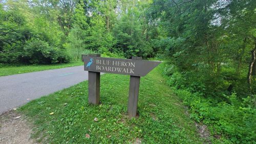 Sign for "Blue Heron Boardwalk" surrounded by lush greenery and a pathway.