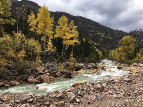 A rocky river flows through a landscape of autumn trees with yellow leaves, set against a mountainous backdrop.