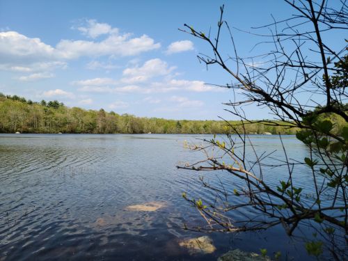 A serene lake surrounded by lush greenery and blue skies, with gentle ripples on the water's surface.