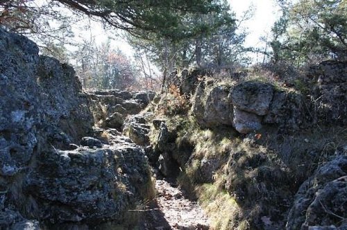 Rocky terrain with moss-covered boulders and sparse trees under a clear blue sky.