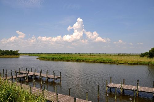 A serene waterway with wooden docks, surrounded by lush greenery and a blue sky with fluffy clouds.