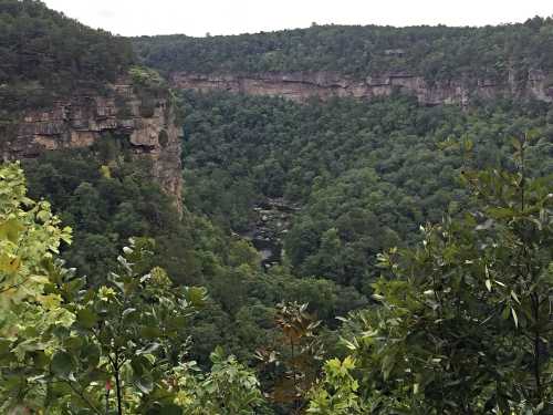 Lush green valley with steep cliffs and a winding river, surrounded by dense trees under a cloudy sky.