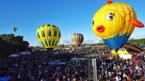 Colorful hot air balloons, including a large fish design, float above a crowd at a festival under a clear blue sky.