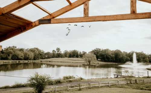 A serene pond view with a fountain, framed by a wooden structure and birds flying overhead.