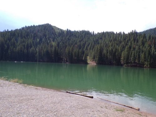 A serene lake surrounded by lush green forests and mountains under a clear sky.
