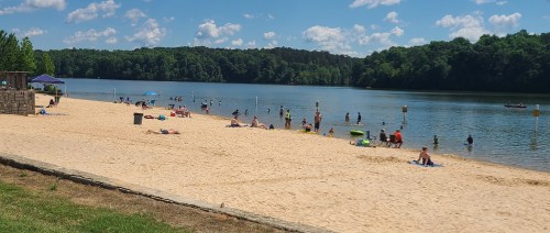 A sunny beach scene with people relaxing on the sand and swimming in a calm lake surrounded by greenery.